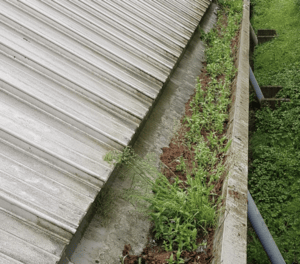 Happy customers in Datchet who trust The Roof Moss Cleaners for gutter cleaning services